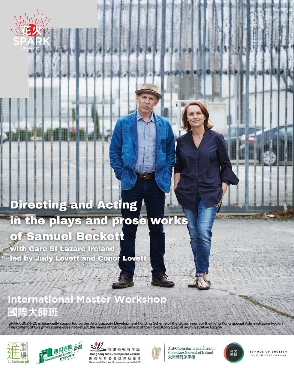 大師工作坊 Gare St Lazard Ireland