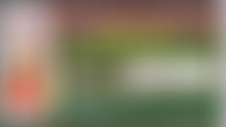 Bihar Integrated BEd Online 2024 biharcetintbed-brabu.in