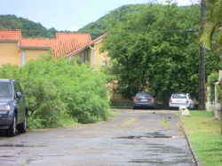 DSCN1577