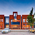 Maartje image.jpg
