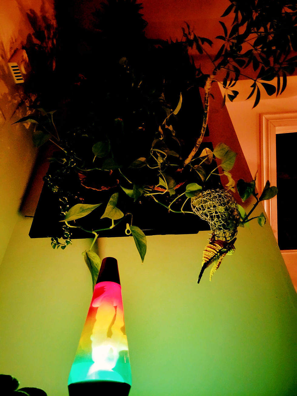 Lava lamp creating different colours
