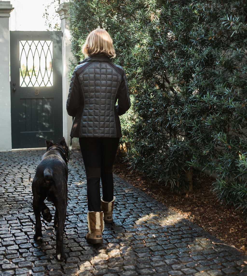 Home Richmond Dog Walking Co.