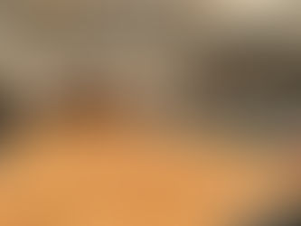 北海道苫小牧市のホテルで開催された企業のイベントに双子パフォーマーPLutoを派遣しました。