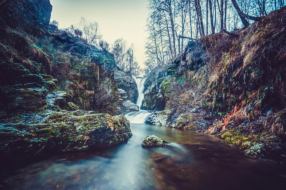 Natural harmony. The murmur of the water