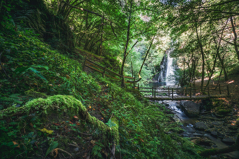 Where the spirits sleeps