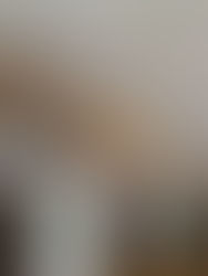 Valenciano: Multi-Generational Visual Artists