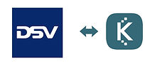 DSV i hvidt på mørkeblå baggrund