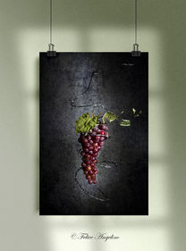 Quadro Uva rossa e filo spinato.jpg