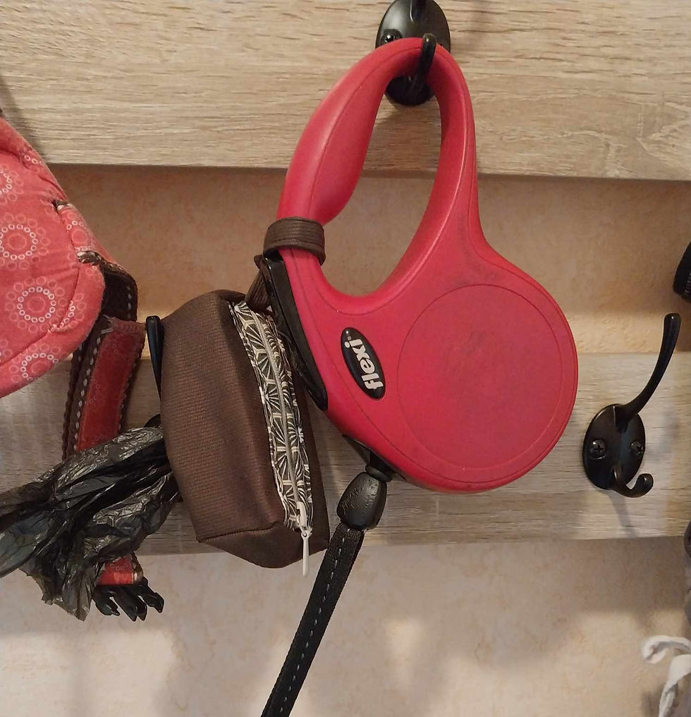 Miniature : Distributeur de sacs à crottes 