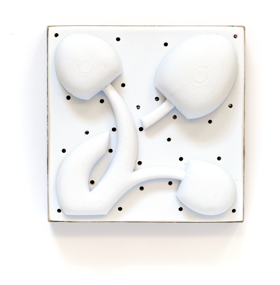 3D-printed-Fungal-mold-02