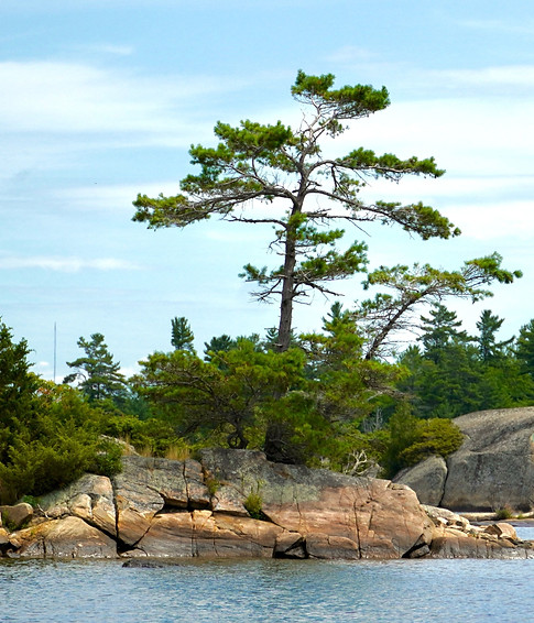 Muskoka Scenery.jpg