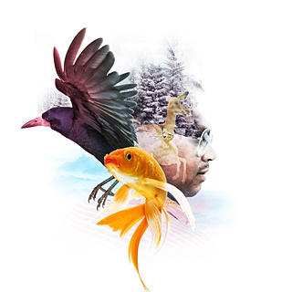 Writer: Sumesh Mohan