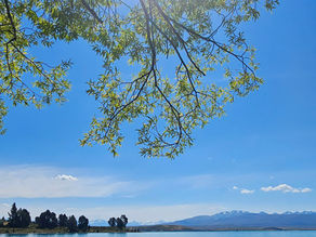 A person resting on a rocky lakeshore beneath leafy branches, looking across blue water towards distant mountains.