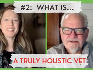 WHAT IS A TRULY HOLISTIC VETERINARIAN?