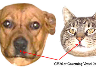 Two Vital things to Know for All Birth