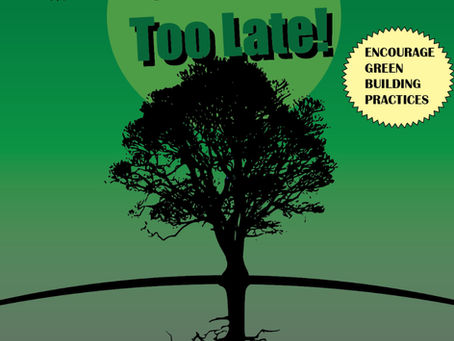 It's Not Too Late! - A Manifesto For Building A Better Future