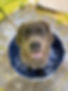218165253_4079474915499111_3139434021151598995_n_edited.jpg