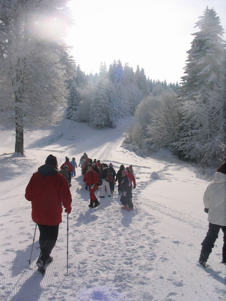 Marche Charlannes Neige