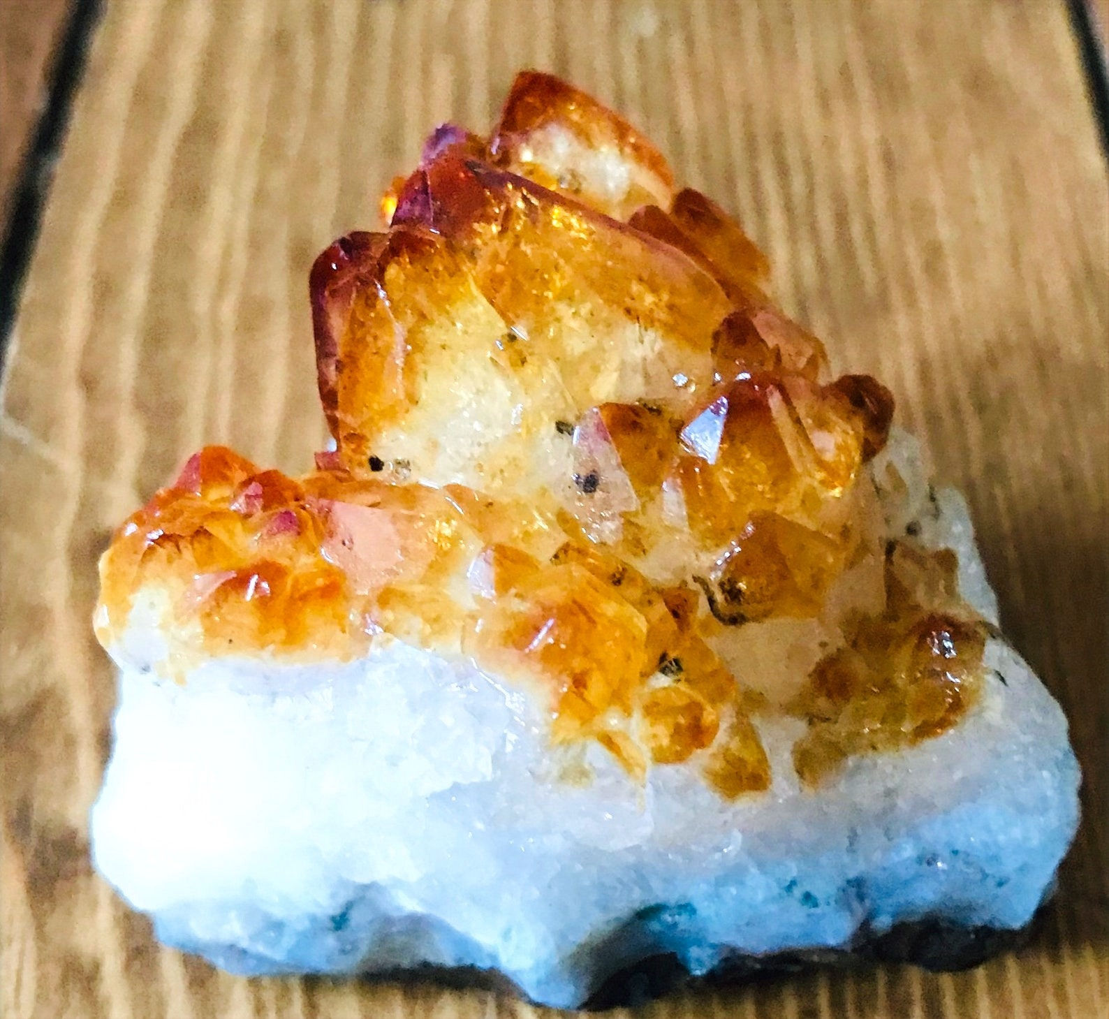 Manifest Flower Essence Blend