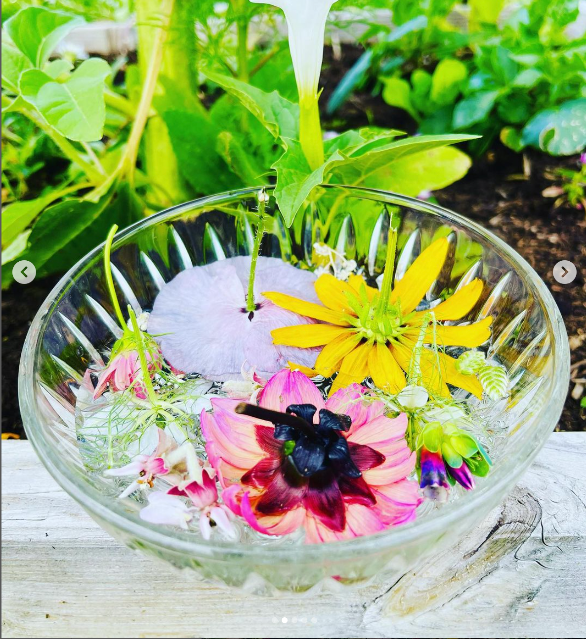 Supercharged Alchemical Essence