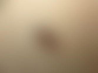 November Practice Questions