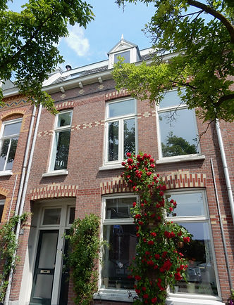 reading medium opstelling van het verlangen astrologie human design energiewerk healing reading medium opstelling van het verlangen interactieve zelfresonantie IZR