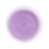 SUGAR IN FRAME