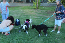 12814144_902398553211950_109768664083193287_n