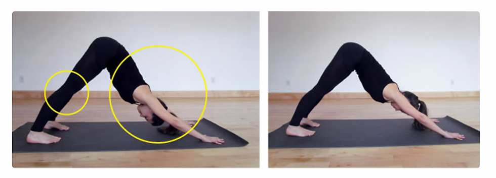 Downward dog