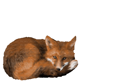 2355057_90957.gif