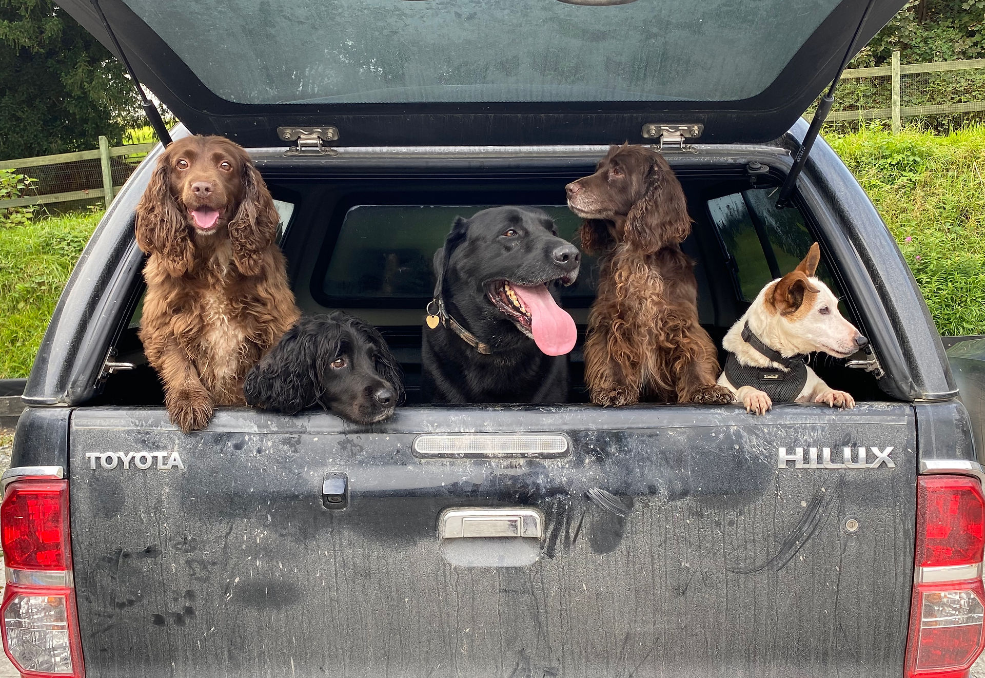 Gun Dog Equipment Handmade Leads Training Equipment