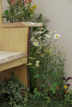 Jamie_ (20 of 29).jpg