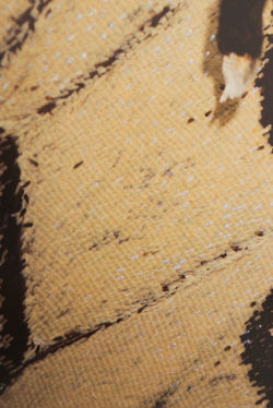 Jamie (58 of 15).jpg