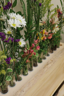 Jamie_ (17 of 29).jpg