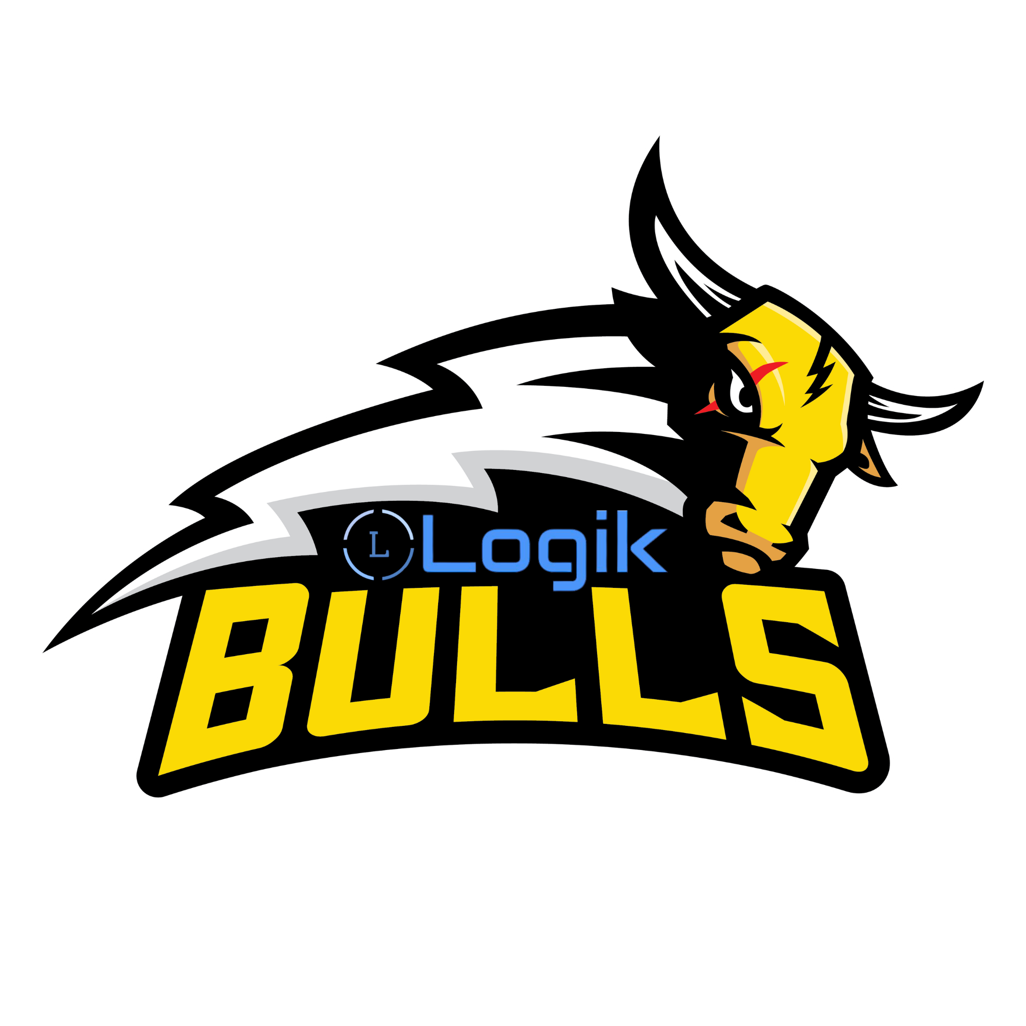 Logik Bulls.png