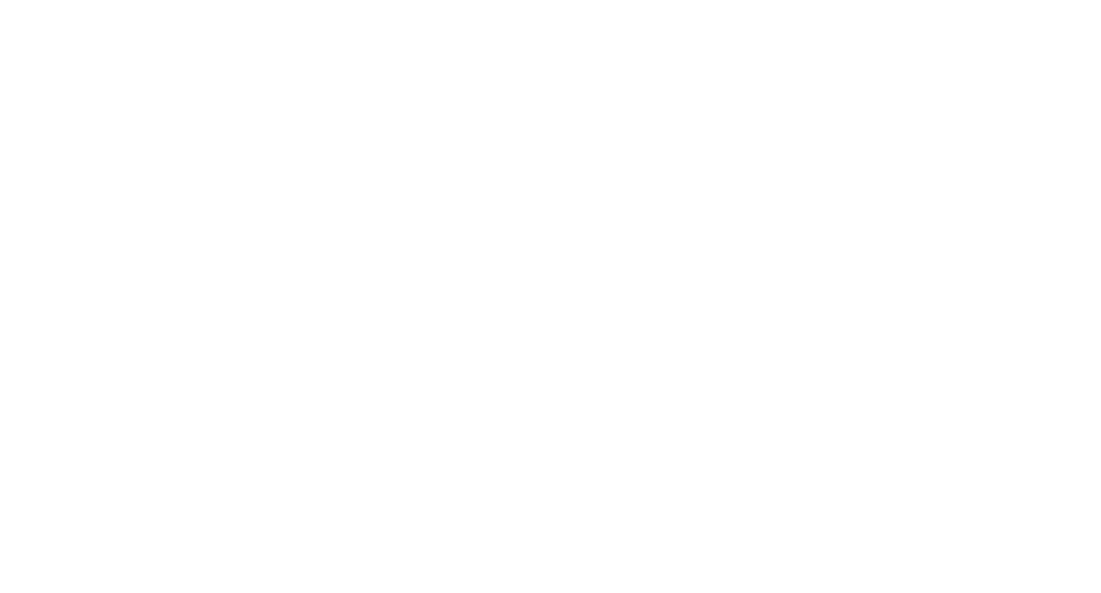 Official Beer Co Logo - White.png