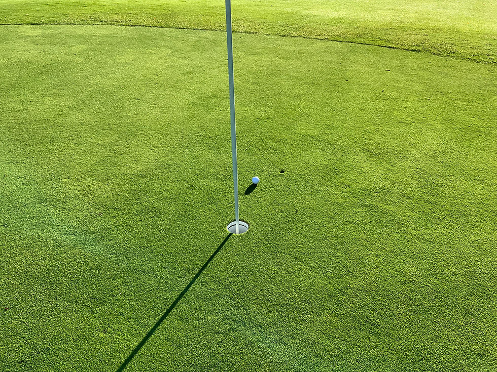 Golf shot on a green with a pitch mark.