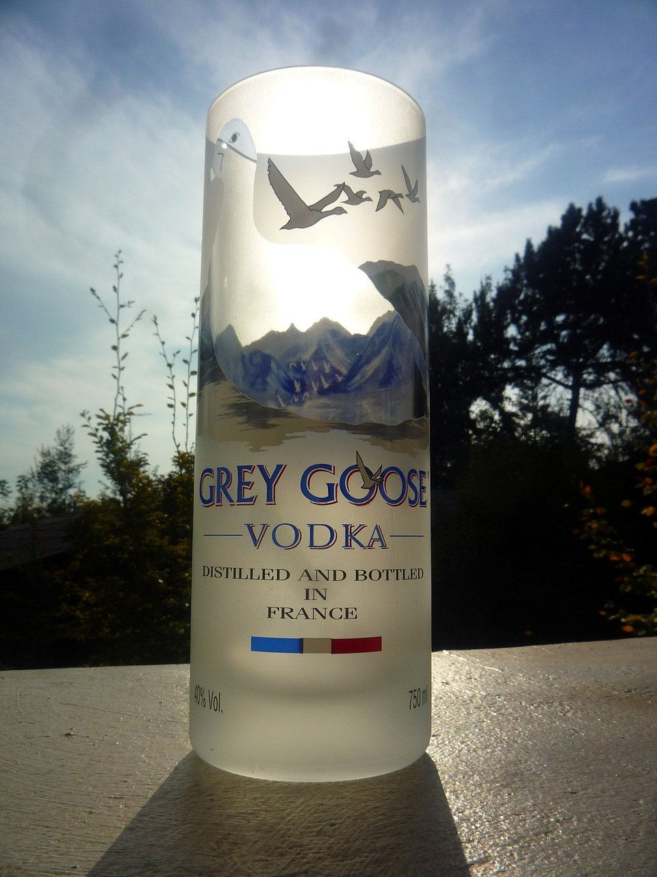 Vaso De Botella Grey Goose