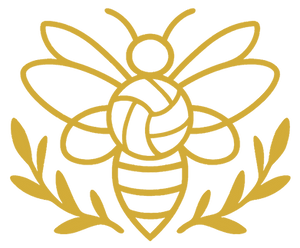 H Bee Netball.png