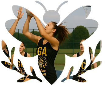 H Bee Sport-4_edited.png