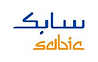 SAbic2.png