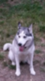 20150812_204121_edited
