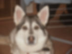 P9070001+(1)