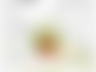 Como comprar en ChileHabaneroMX