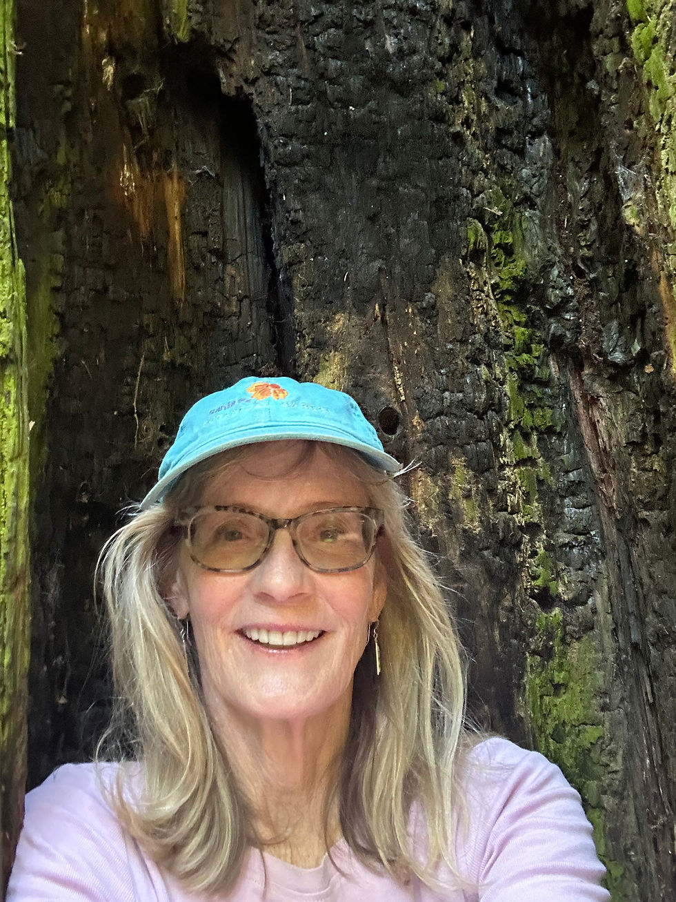 Cynthia Mitchell, WEC Board Member