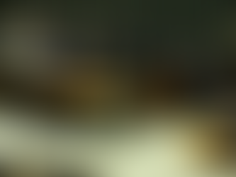 PEC da Segurança prepara o país para combater o crime organizado, afirma Lula