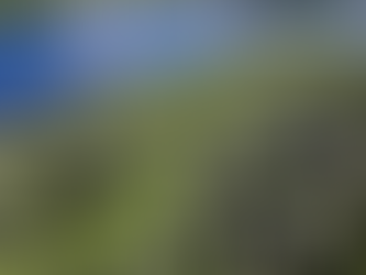 Desmate em áreas protegidas da Amazônia e do Cerrado tem queda recorde