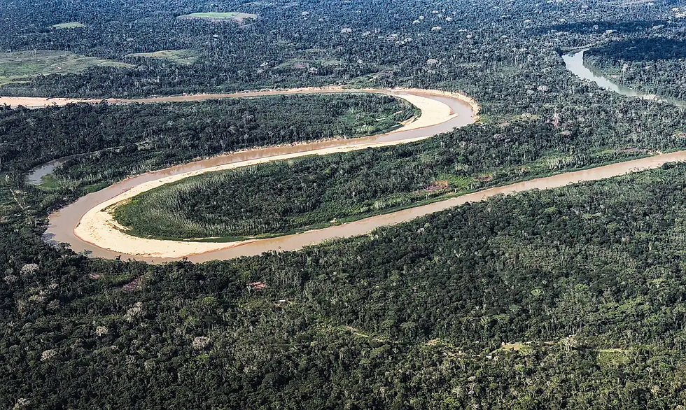 Após reeleição de Lula, Holanda anuncia US$ 500 milhões para fundo florestal