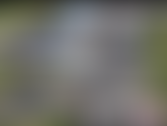 Dois homens morrem em queda de avião em Rio Claro, no sul fluminense