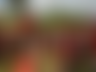 Contra violência e por reforma agrária, mulheres do MST ocupam latifúndios